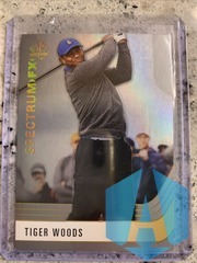 2021 Upper Deck SP Authentic Golf Tiger Woods #S-1 Bounty Spectrum FX